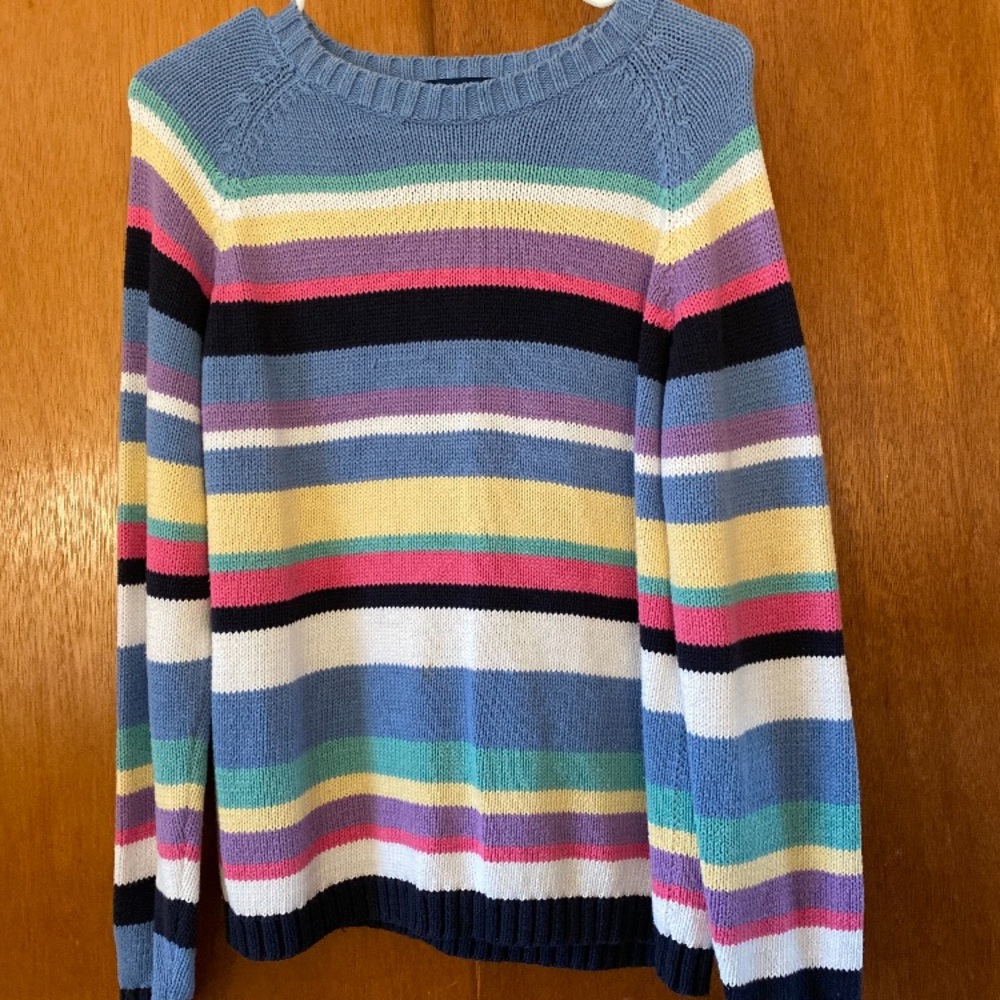 Pastel Striped Karen Scott Sweater